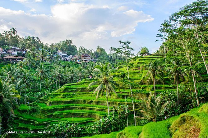 DAY 8 / OCTOBER : UBUD TOUR