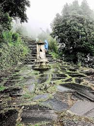 Day 06 : Tadapani to Chhomrong (2170m, 6/7 hrs.). Overnight at Tea House