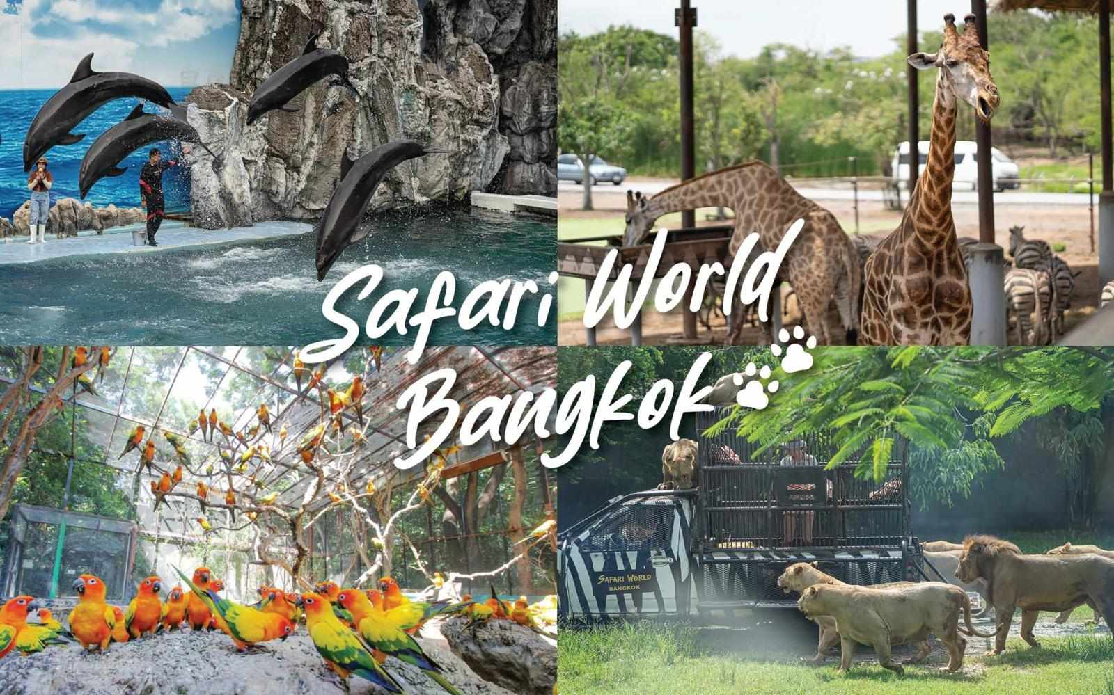 Day 04 : Bangkok – Safari World (BLX)