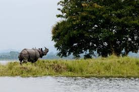 Day 06 : BOMDILA – KAZIRANGA