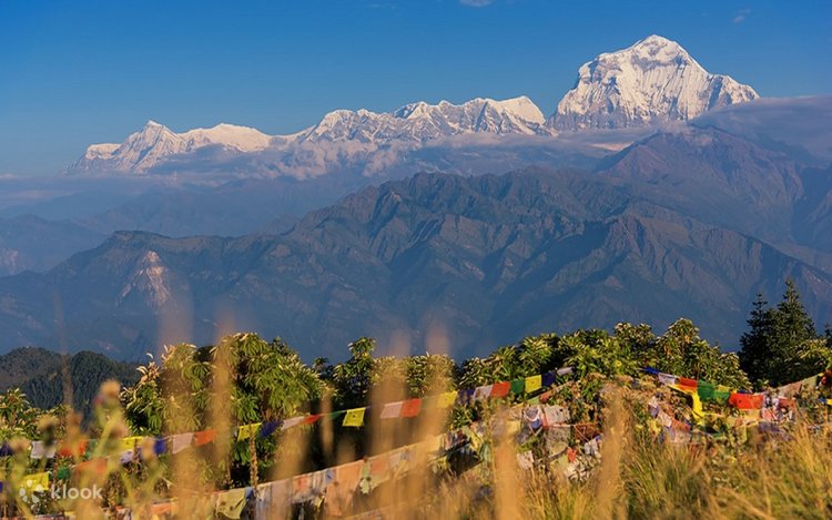 Day 03 : Fly from Kathmandu to Pokhara and trek to Tikhedhunga