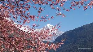 Day 04 : Trek from Tikhedhunga to Ghorepani